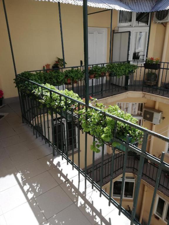 Apartmán Oaza 26 Deo 2 Bělehrad Exteriér fotografie